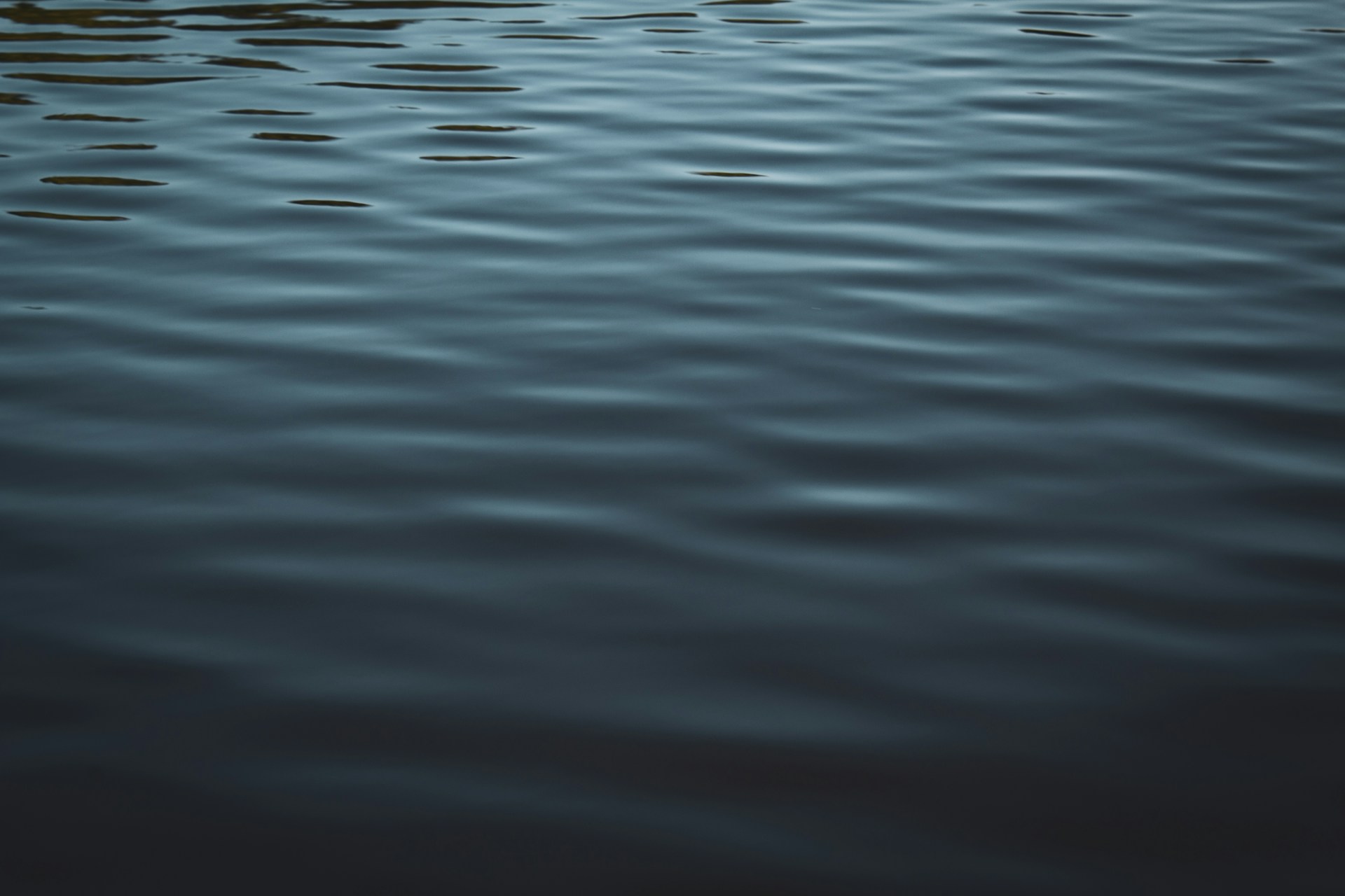 Still water at dusk