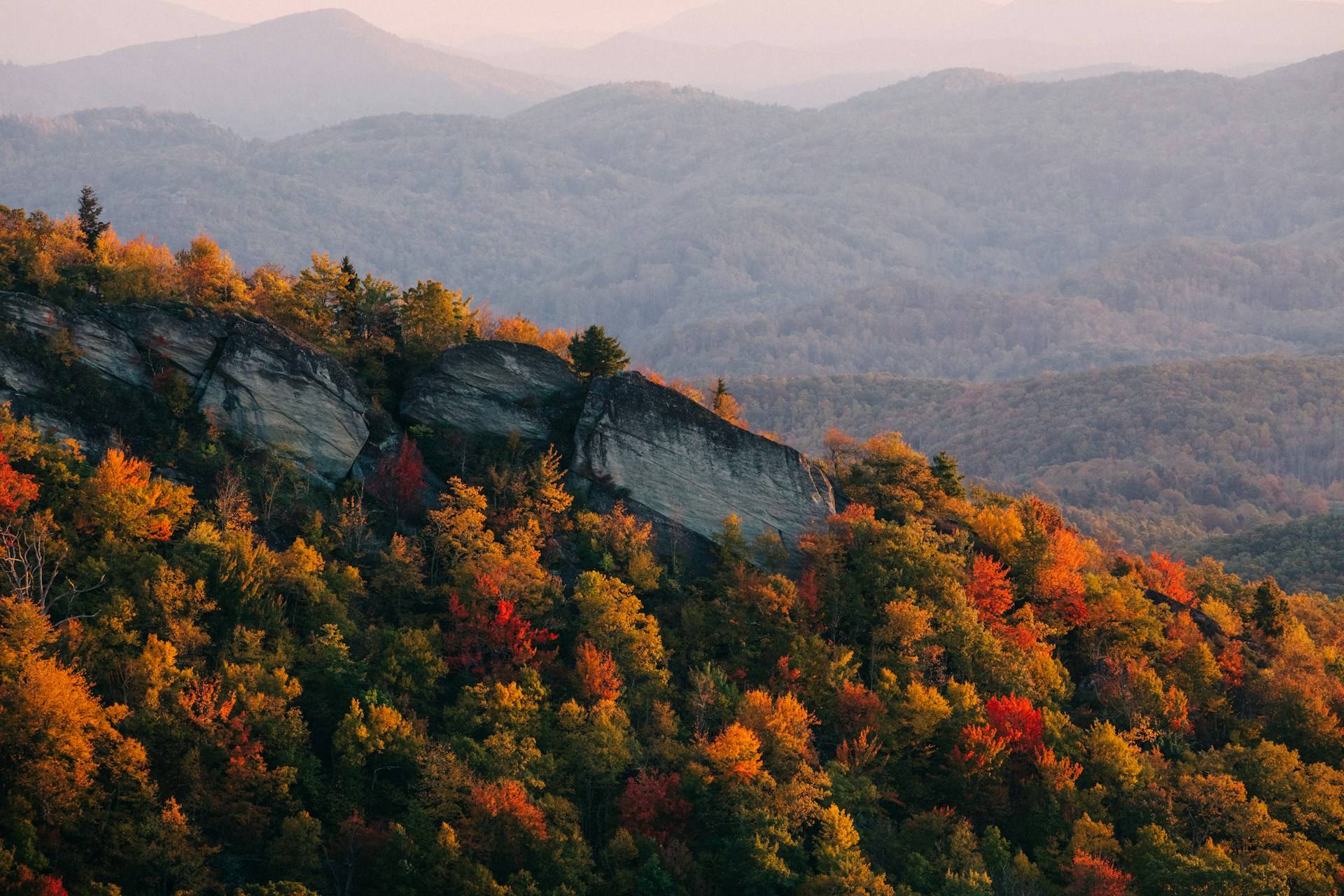 Autumn foliage on a mountain ridge in North Carolina
